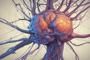 Acetylcholine and Cholinergic System