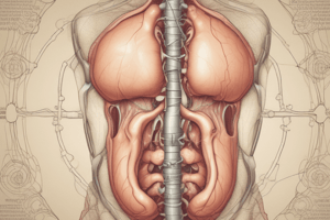 Exploring Male Reproductive System