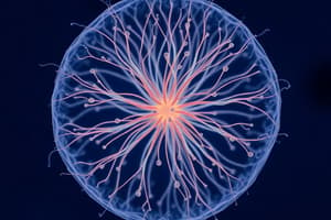 Asexual Reproduction and Respiration in Yeast