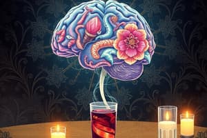 Alcohol Use and Neurotoxicity Effects