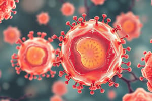 T Cell Effector Mechanisms and MHC Class 2