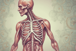 Respiratory System and Its Components