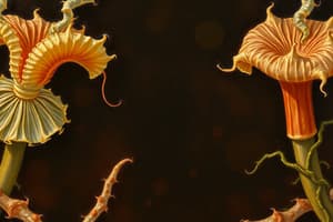 Shigella: Causes, characteristics, virulence