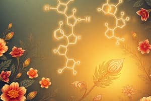 Organic Chemistry Reactions Overview