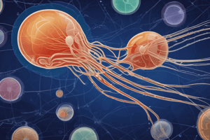 Giardia lamblia and Giardiasis