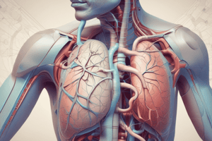 Lung Sounds and Pattern