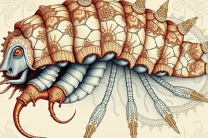 Brachiopods Classification Quiz