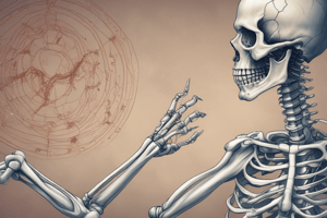 Skeletal System: In-Depth Look at Bursae, Tendons, Ligaments, Cartilage, and Bones