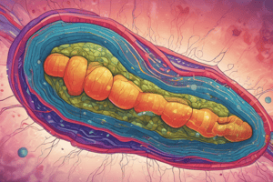 Mitochondria's Role in Apoptosis