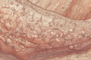 Integumentary Structures Derived from Epidermis