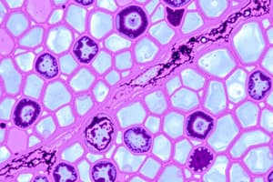 Biology: Epithelial Tissue Overview