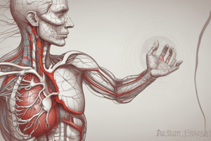 Human Heart Structure and Function Quiz