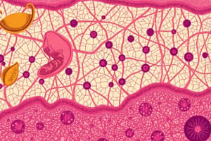 Epithelial Tissue: Characteristics and Classification