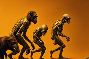 Overview of Human Evolution