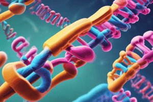 Human Chromosomes and Karyotypes Quiz