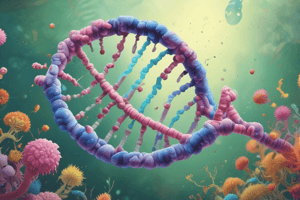 E. coli DNA Polymerase I vs III