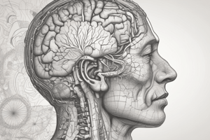 Dementia Screening: AD8 and MMSE