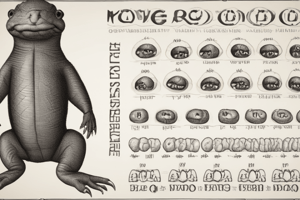 Hydatidiform Mole and Karyotype