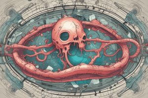 Apoptosis: Definition and Mechanisms