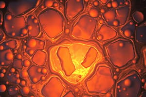 Excitability of Tissues and Membrane Potential