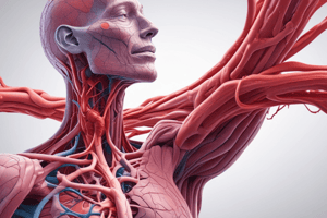 Thrombosis Lecture Learning Outcomes