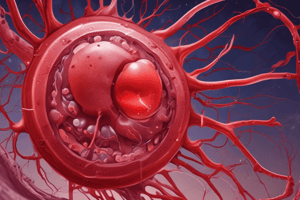 Question #1: Understanding Hemostasis: 3 Stages