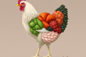 Poultry Classification and Grading Quiz