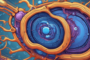 Nucleus Structure in Eukaryotic Cell