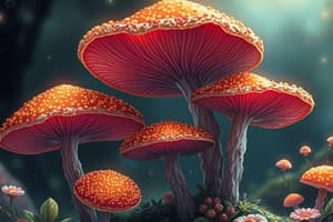 Fungi Eigenschaften und Merkmale