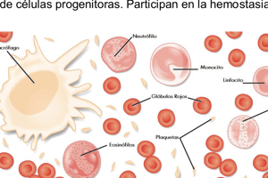 Preguntas y respuestas