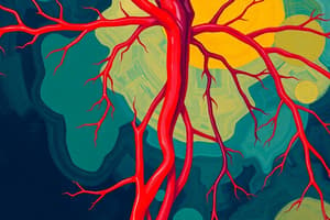 Development of blood vessels