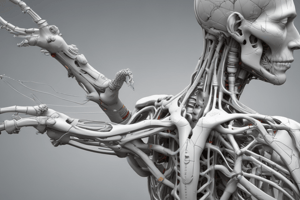 Biomechanics of the Spine