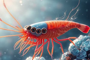 Antarctic Krill Overview