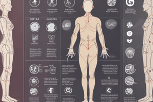 Pain Assessment Tools in Healthcare