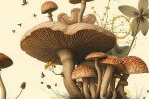 Fungal Taxonomy Overview