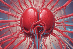 Causes of Increased Capillary Pressure