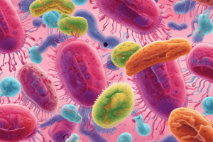 Pseudomonas Aeruginosa Characteristics Quiz