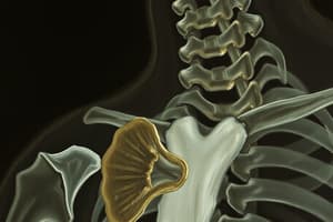 Endocrinology: Parathyroid Gland Functions