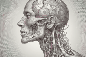 Anatomy of the Tongue