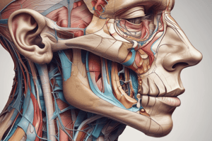 Human Anatomy: Nasal Region