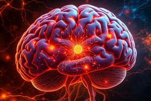 Psychology Brain Structures and Functions Quiz