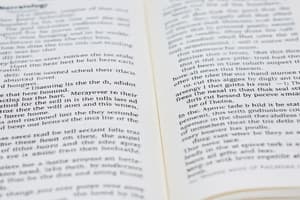 Narratology & Stylistics in Novel Translation