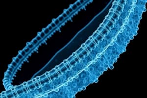 Membrana Plasmática: Estructura y Funciones