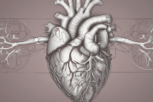 Basic Heart Anatomy Quiz