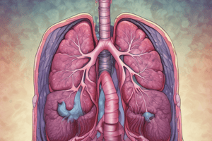 Lung Abscess Diagnosis