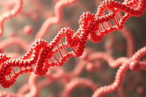 Nucleic Acids Overview