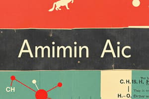 Amino Acid Structure and Classification