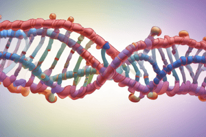 Transcription in Prokaryotes: RNA Polymerase [Part 1]