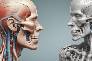 Anatomy - Cranial Nerves and Ligaments Quiz