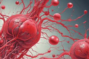 Coagulation Cascade: Intrinsic and Extrinsic Pathways